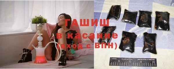 шишки Дмитриев