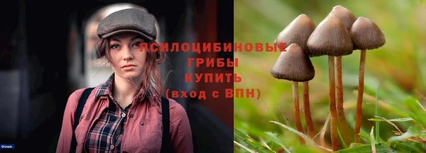 a pvp Дмитров