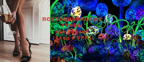 шишки Дмитриев