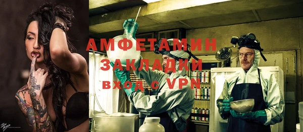 шишки Дмитриев