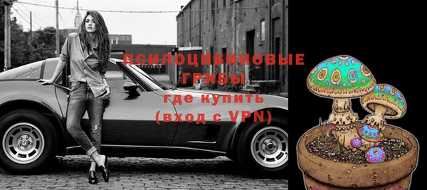 шишки Дмитриев