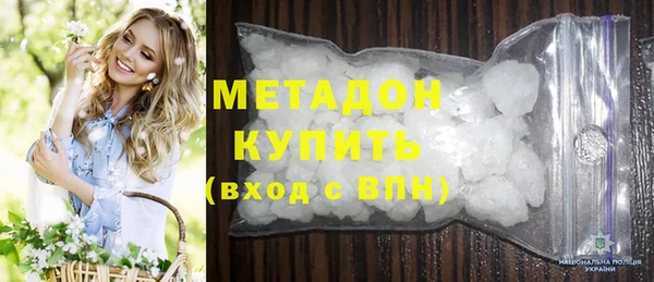 шишки Дмитриев
