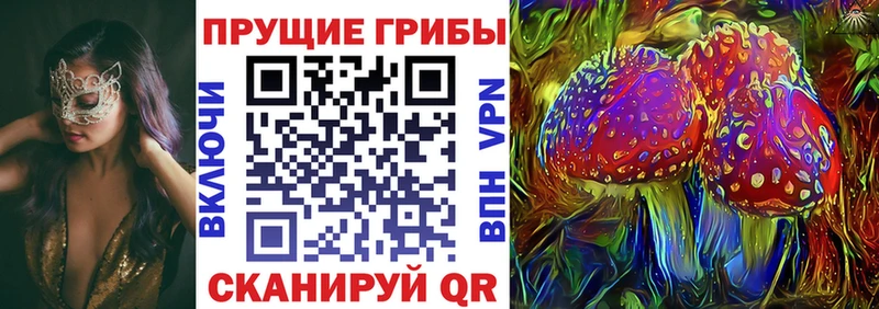 Галлюциногенные грибы мухоморы Купить где Гагарин